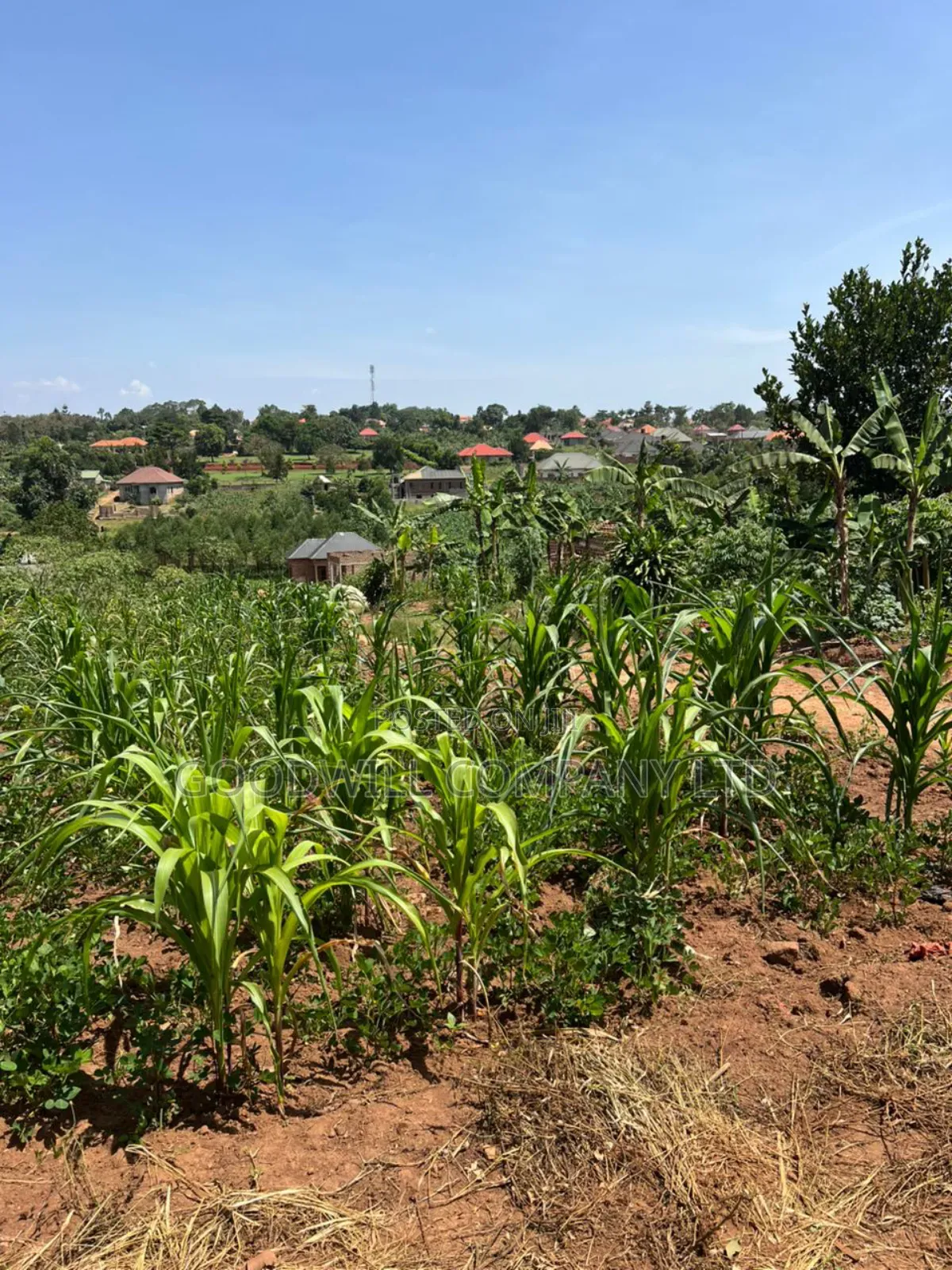 24 Decimals of Land in Kijabijjo Highly Developed Estate