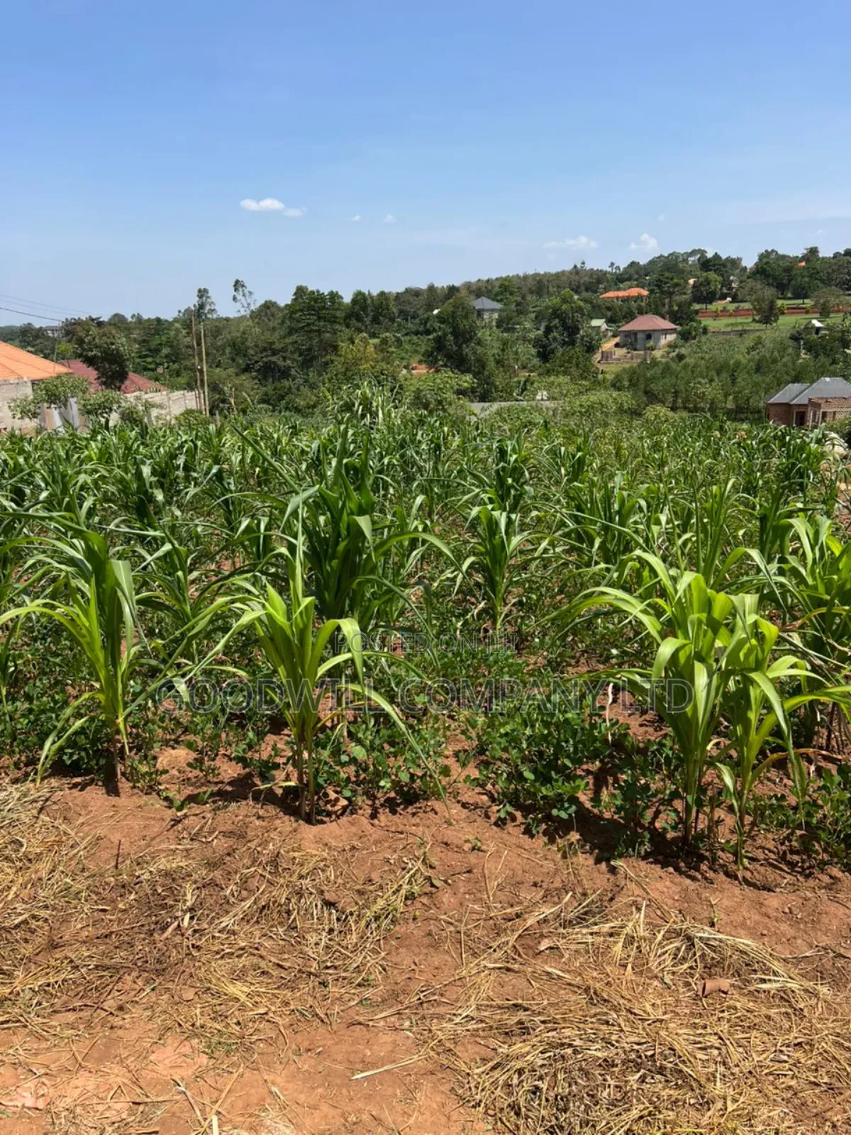24 Decimals of Land in Kijabijjo Highly Developed Estate