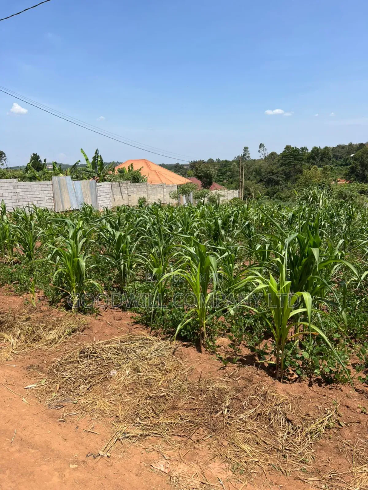 24 Decimals of Land in Kijabijjo Highly Developed Estate