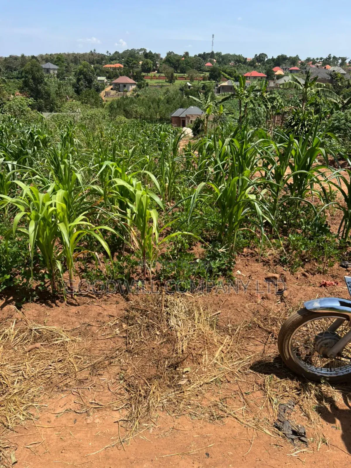24 Decimals of Land in Kijabijjo Highly Developed Estate