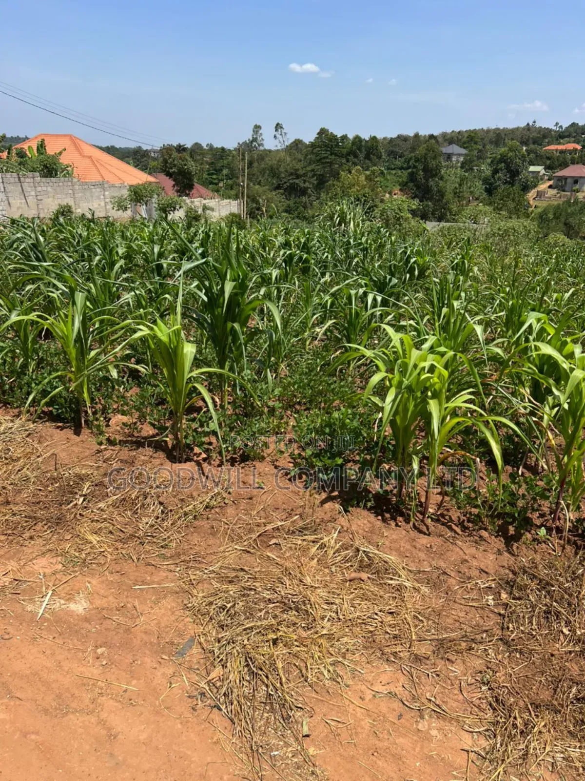 24 Decimals of Land in Kijabijjo Highly Developed Estate