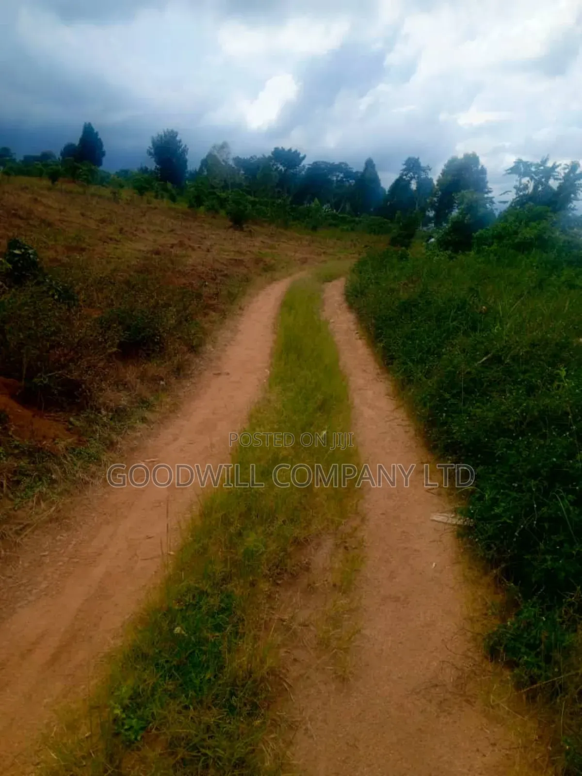 25 Acres of Land in Nabyewanga Mawokota After Buwama Town