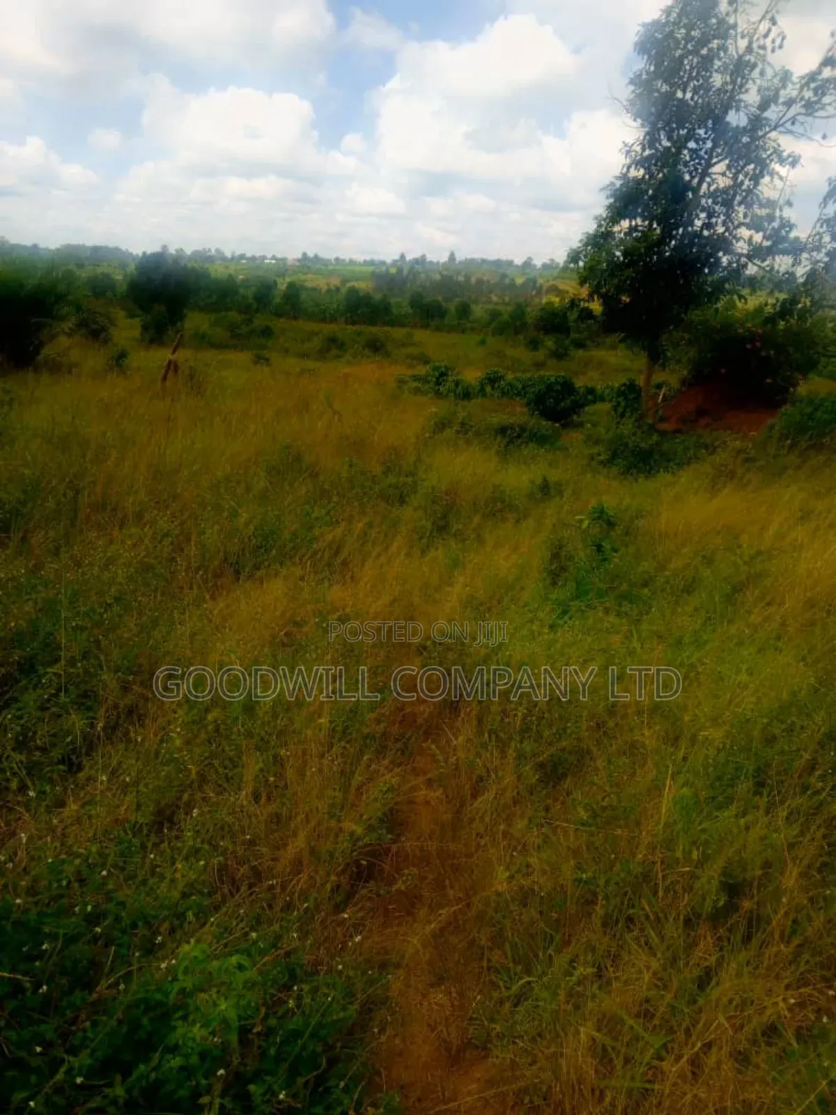 25 Acres of Land in Nabyewanga Mawokota After Buwama Town