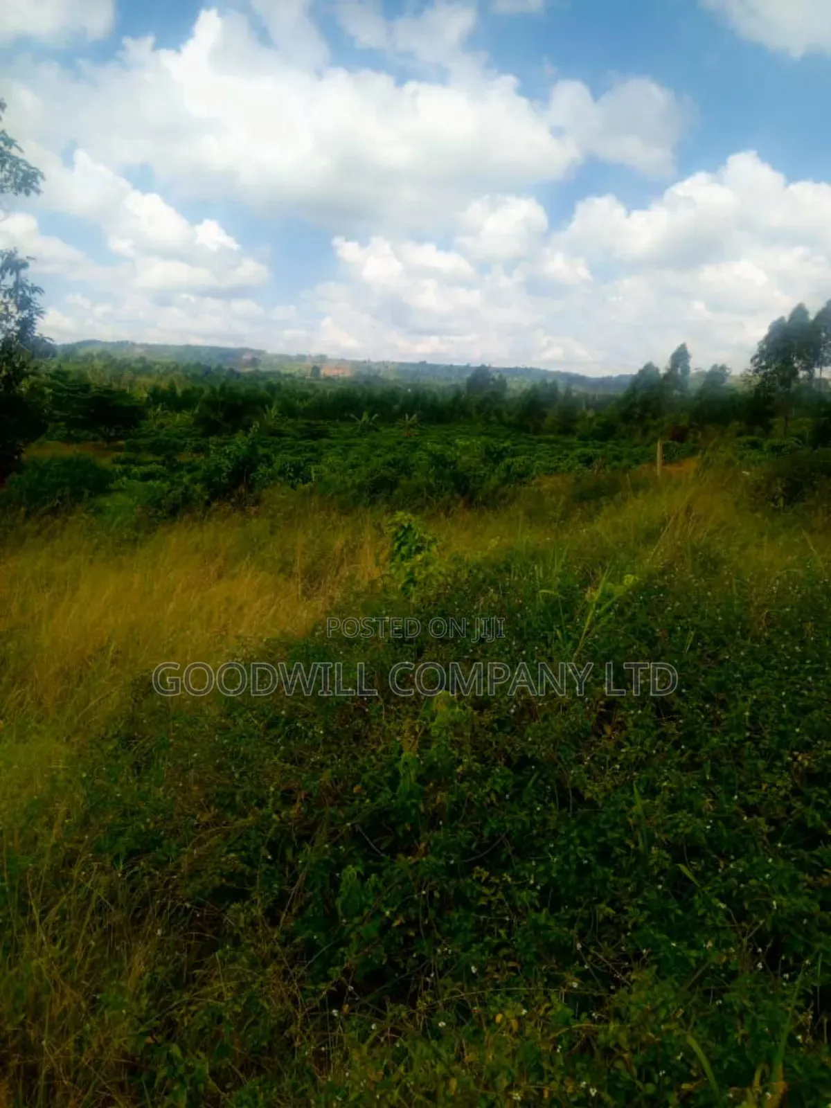 25 Acres of Land in Nabyewanga Mawokota After Buwama Town