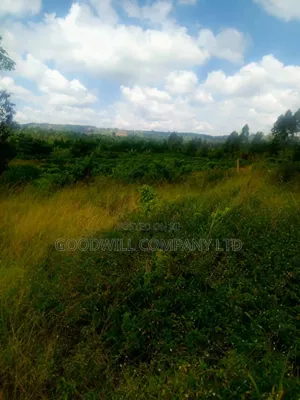 25 Acres of Land in Nabyewanga Mawokota After Buwama Town