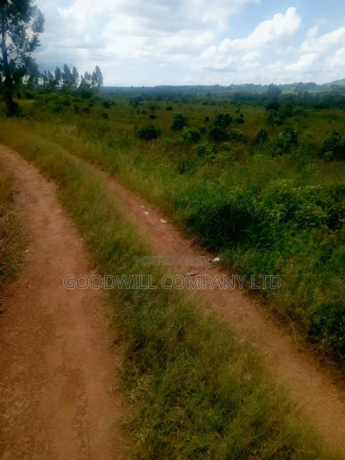 25 Acres of Land in Nabyewanga Mawokota After Buwama Town
