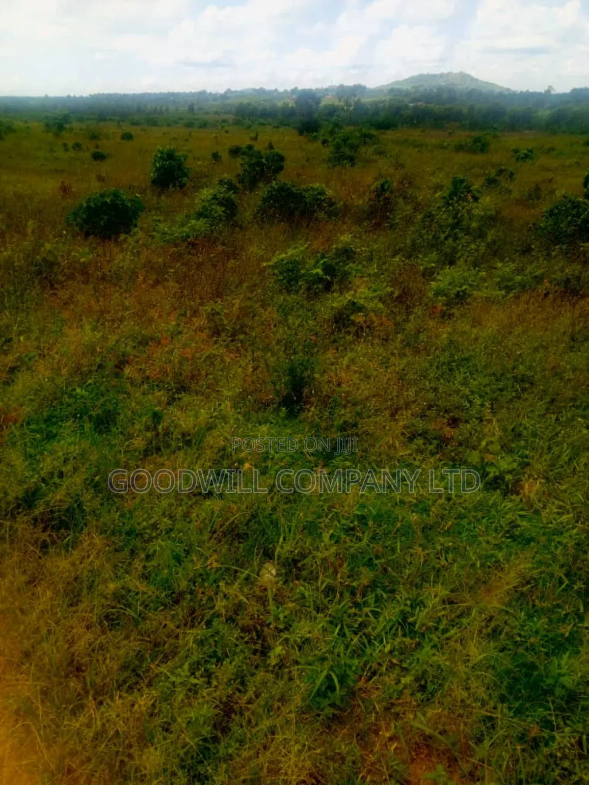 25 Acres of Land in Nabyewanga Mawokota After Buwama Town