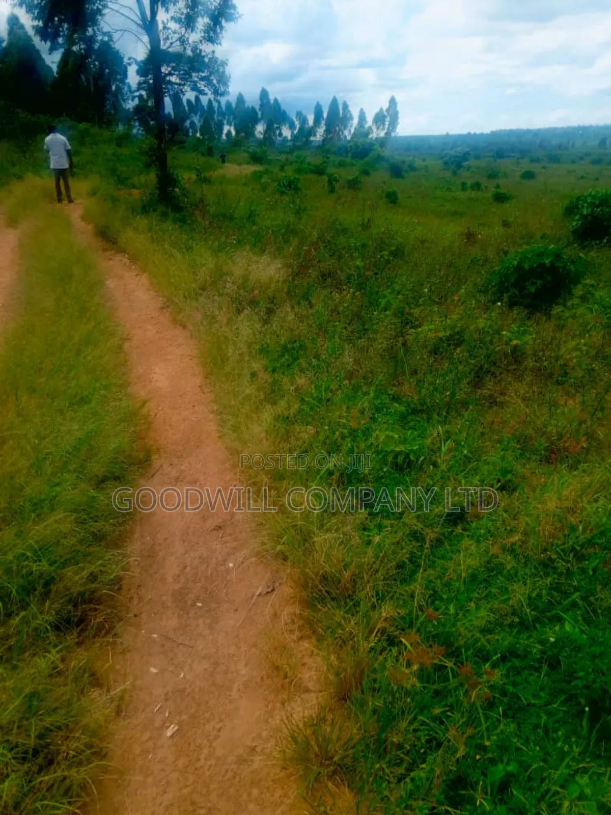25 Acres of Land in Nabyewanga Mawokota After Buwama Town