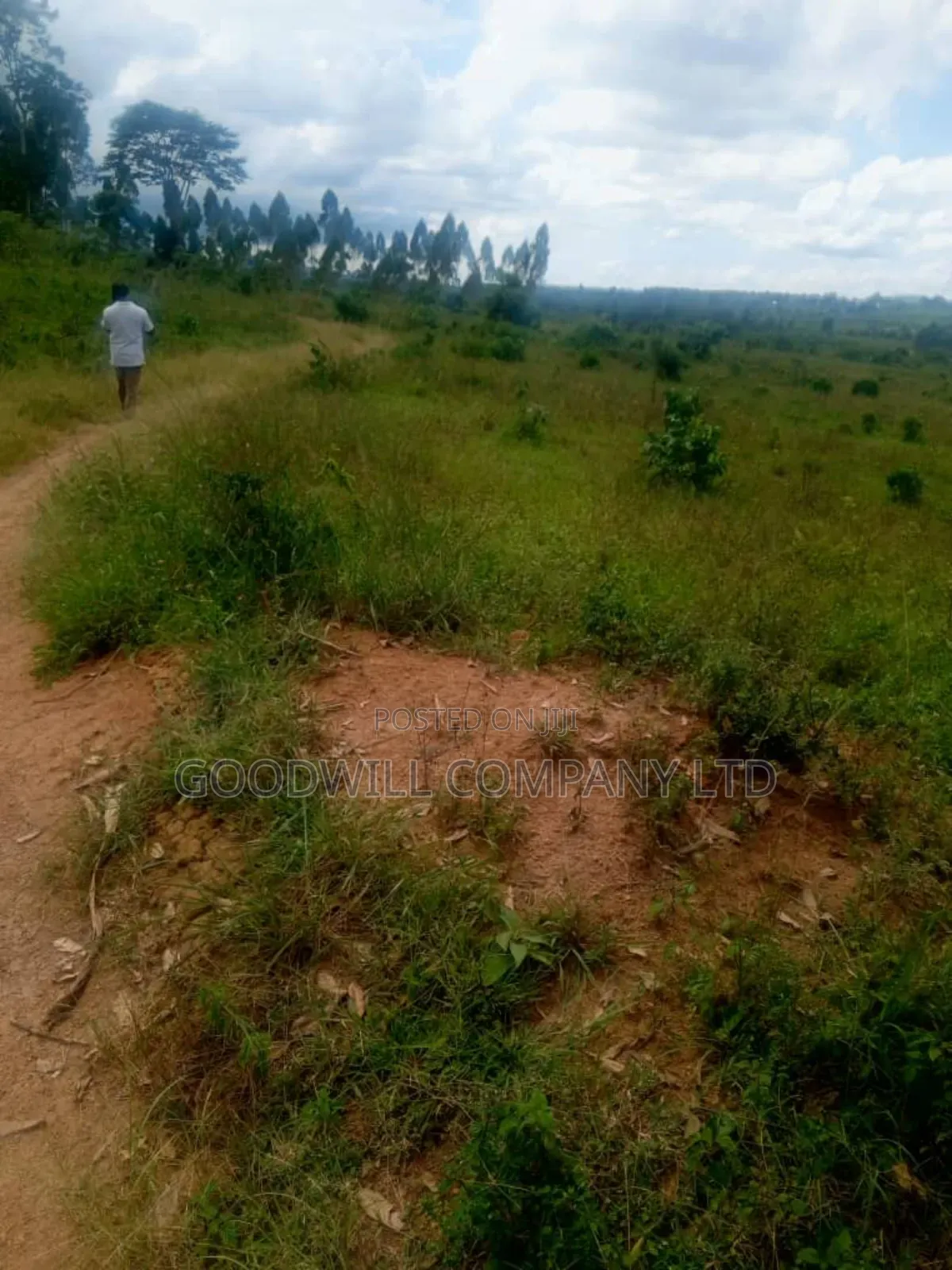 25 Acres of Land in Nabyewanga Mawokota After Buwama Town
