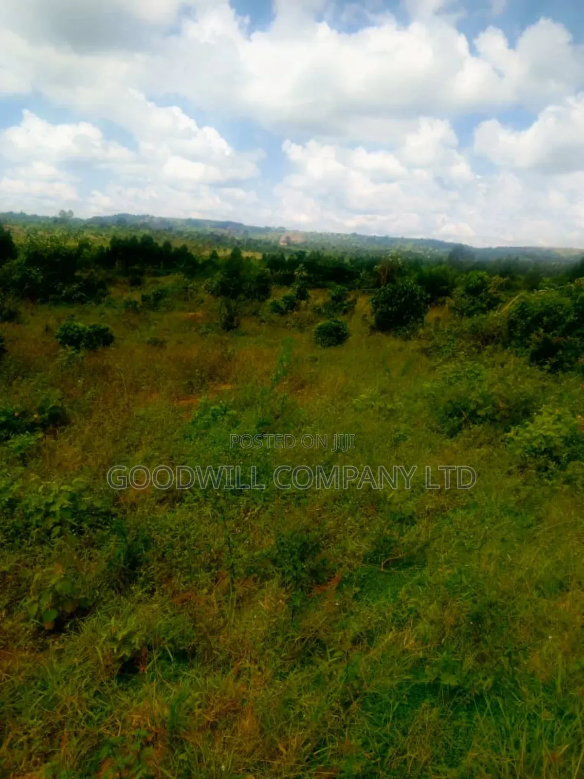 25 Acres of Land in Nabyewanga Mawokota After Buwama Town