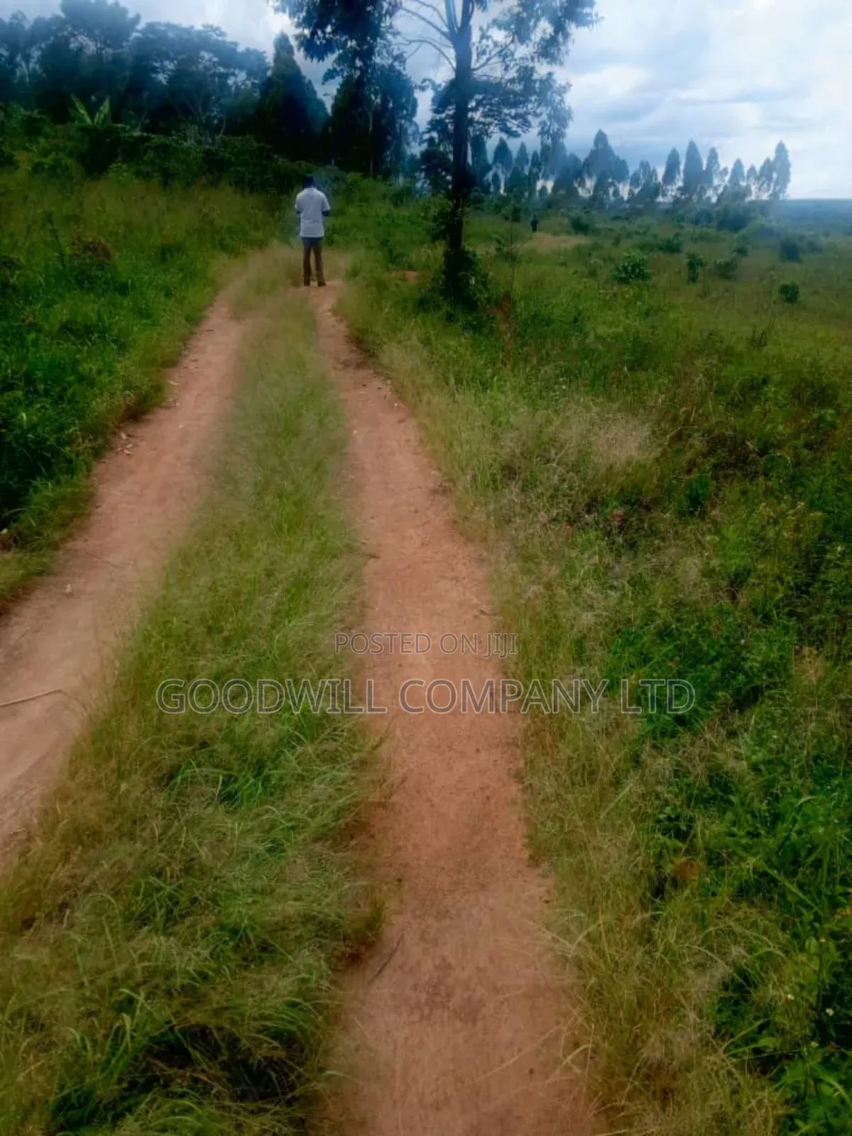 25 Acres of Land in Nabyewanga Mawokota After Buwama Town
