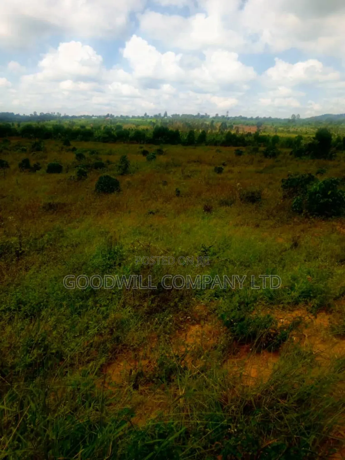 25 Acres of Land in Nabyewanga Mawokota After Buwama Town