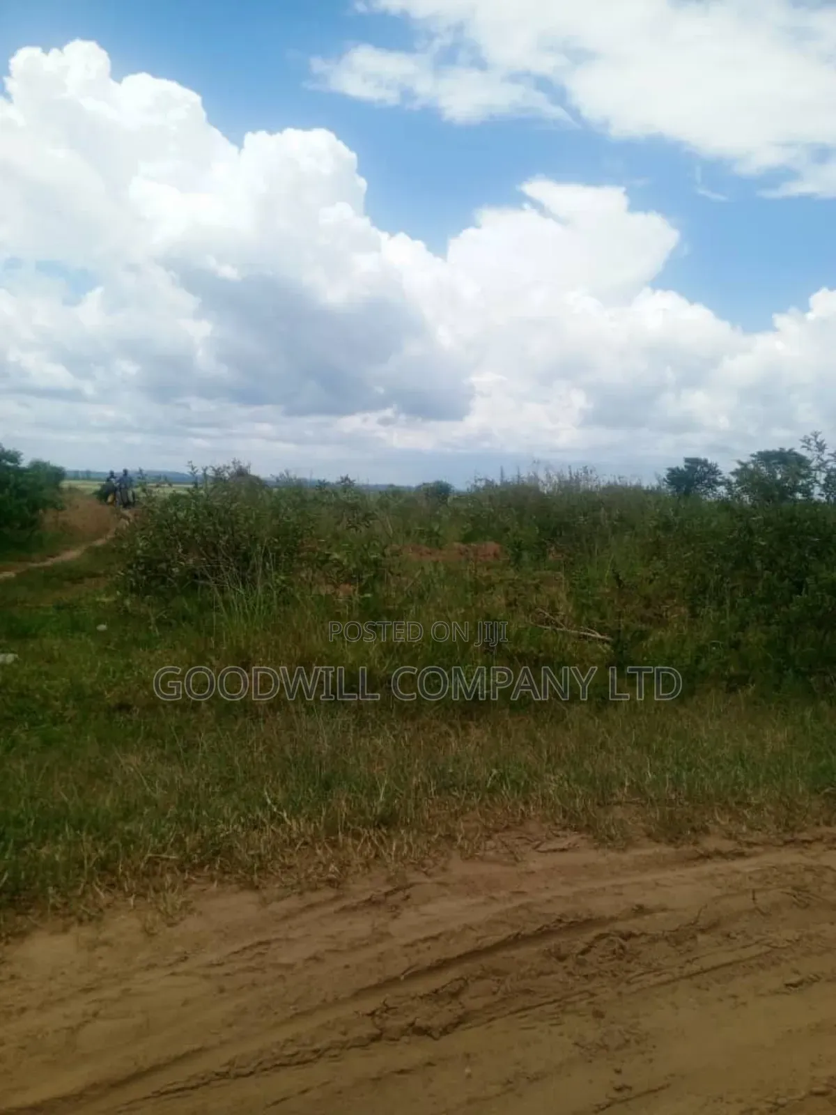 26 Acres of Land Mawokota on Masaka Road