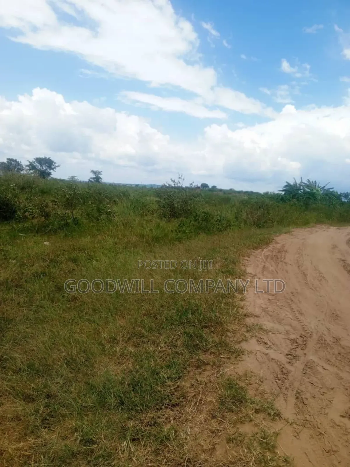 26 Acres of Land Mawokota on Masaka Road
