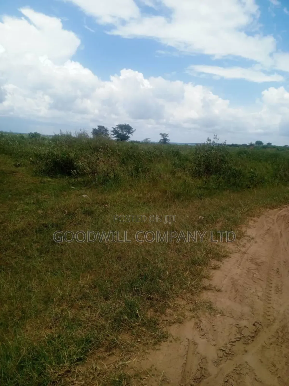 26 Acres of Land Mawokota on Masaka Road