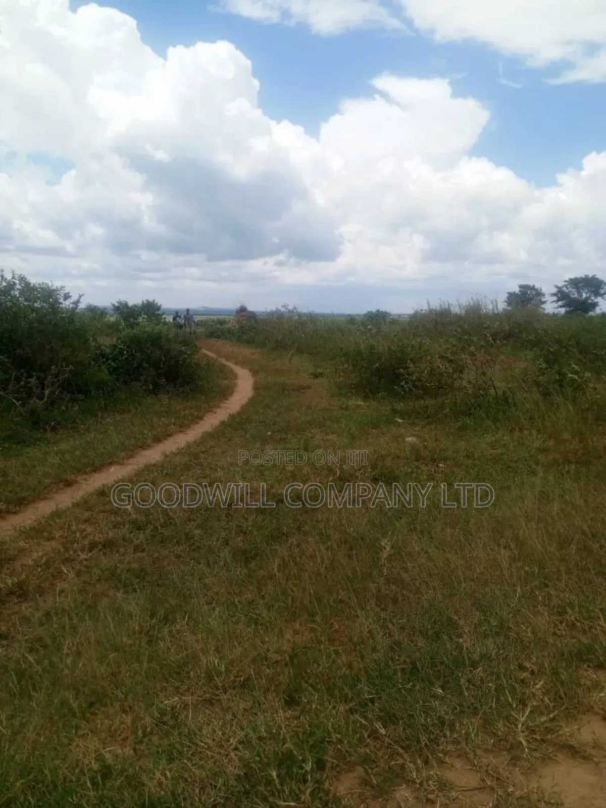 26 Acres of Land Mawokota on Masaka Road