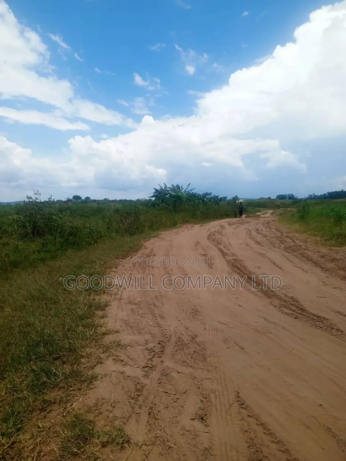 26 Acres of Land Mawokota on Masaka Road