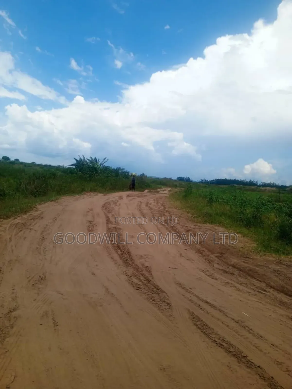 26 Acres of Land Mawokota on Masaka Road