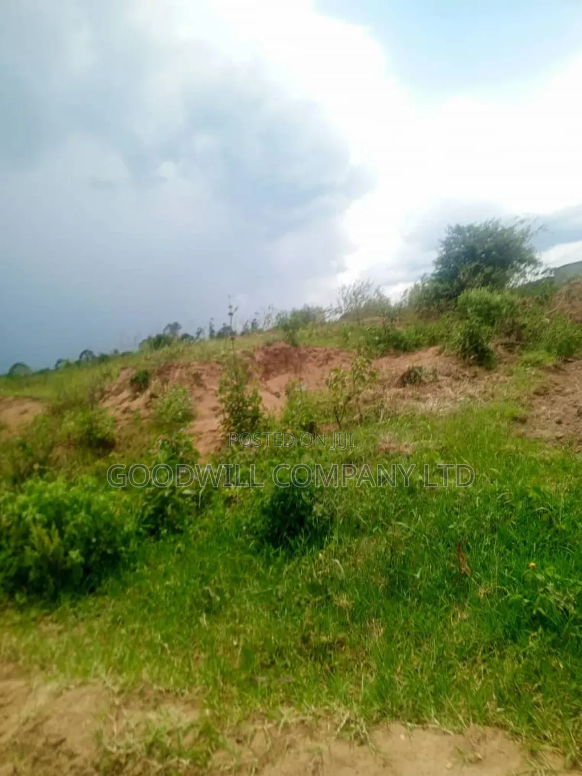26 Acres of Land Mawokota on Masaka Road