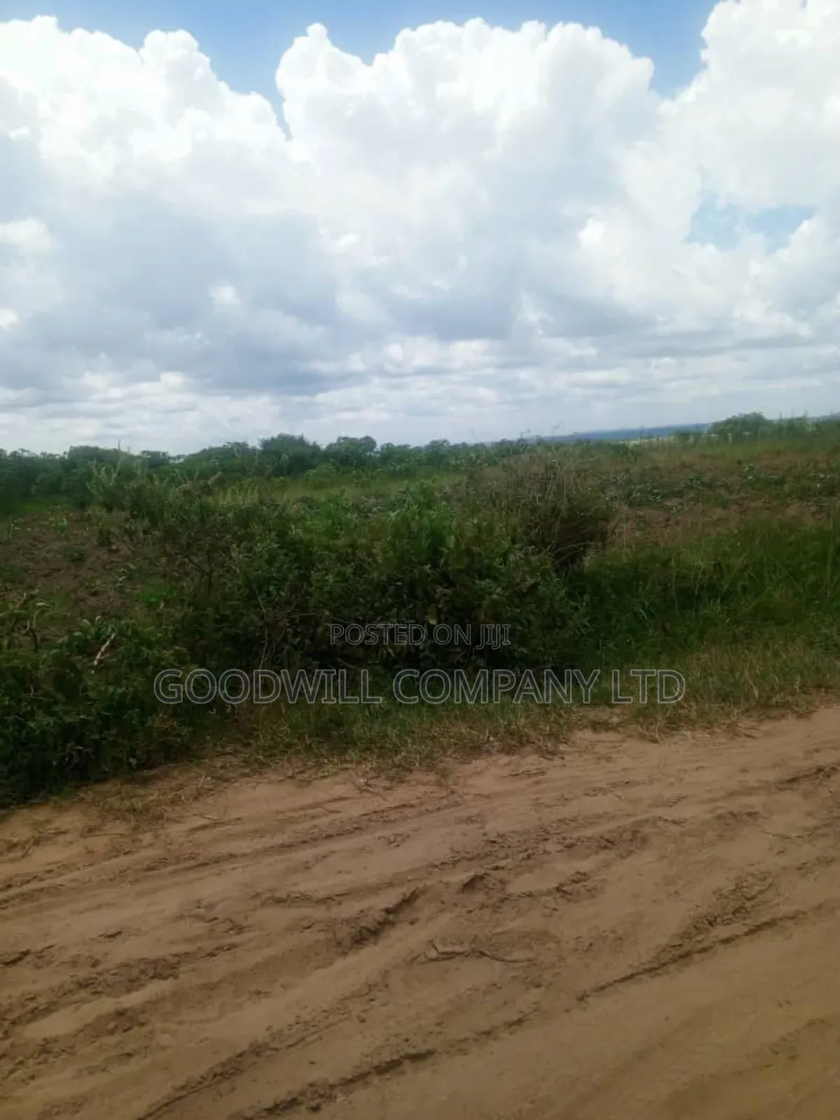 26 Acres of Land Mawokota on Masaka Road