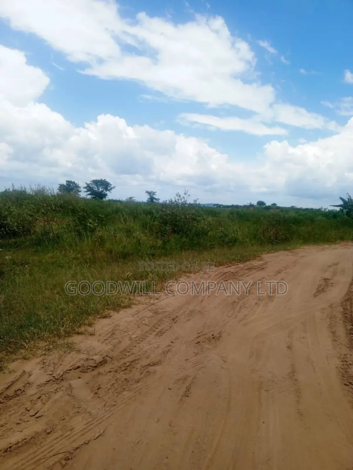26 Acres of Land Mawokota on Masaka Road