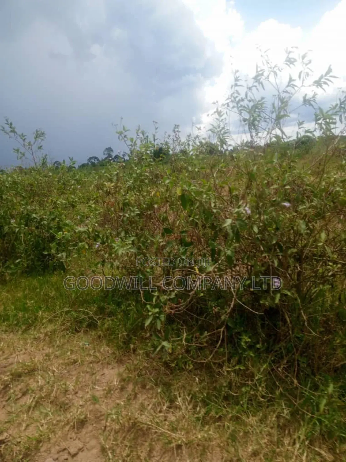 26 Acres of Land Mawokota on Masaka Road