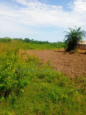 24 Acres of Land in Sunga Masaka on Bukakata Road