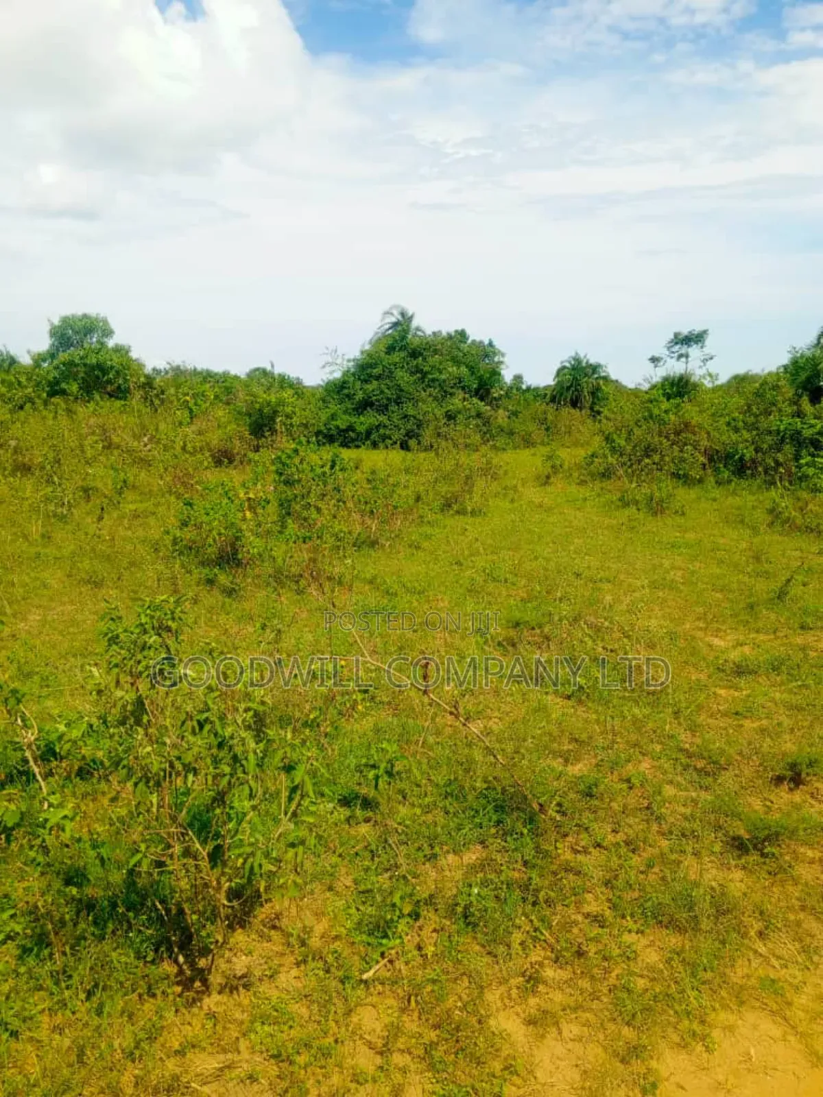 24 Acres of Land in Sunga Masaka on Bukakata Road