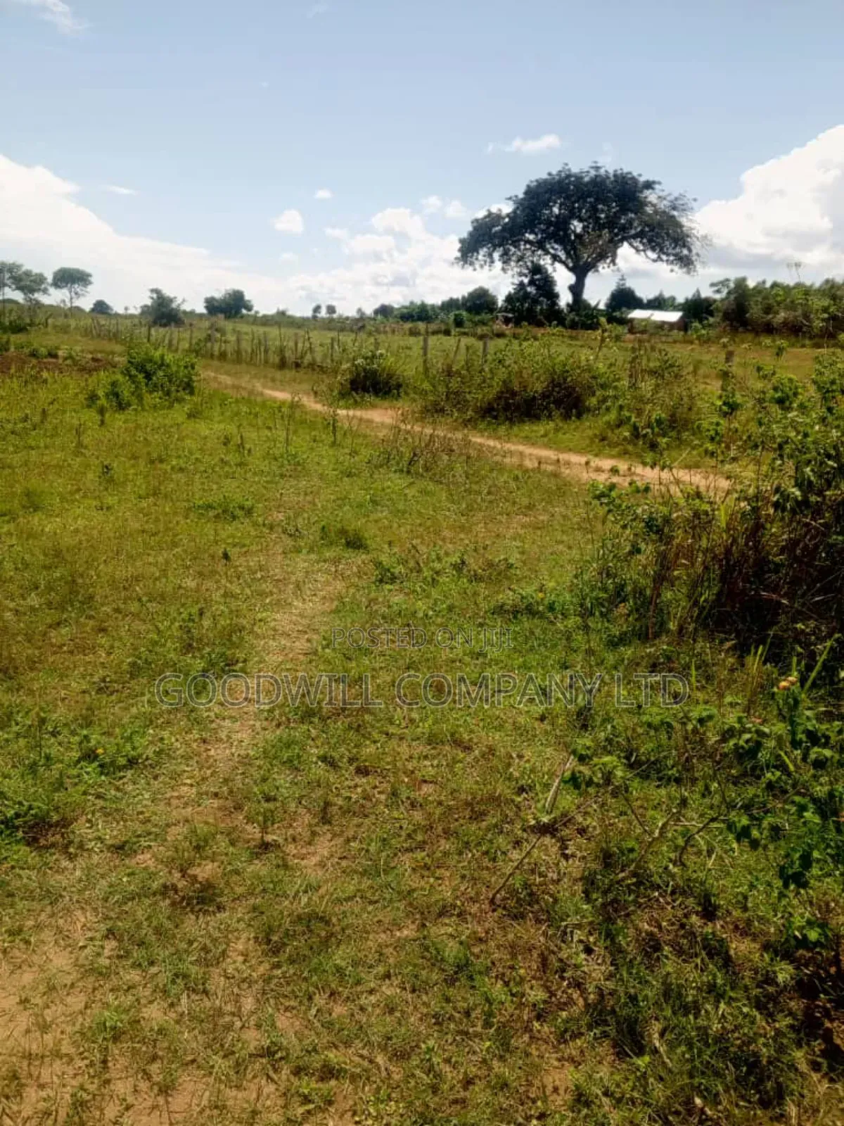 24 Acres of Land in Sunga Masaka on Bukakata Road