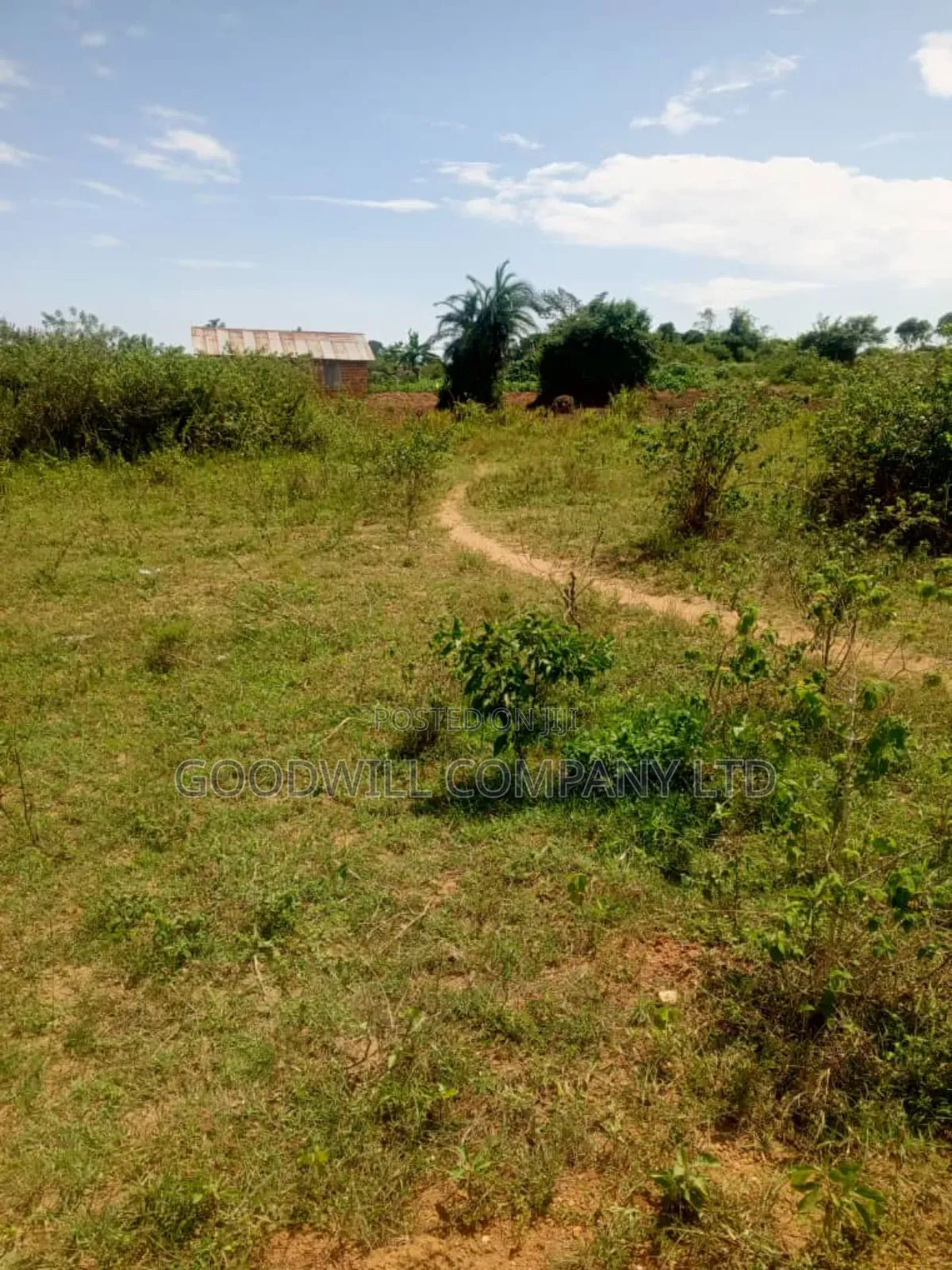 24 Acres of Land in Sunga Masaka on Bukakata Road