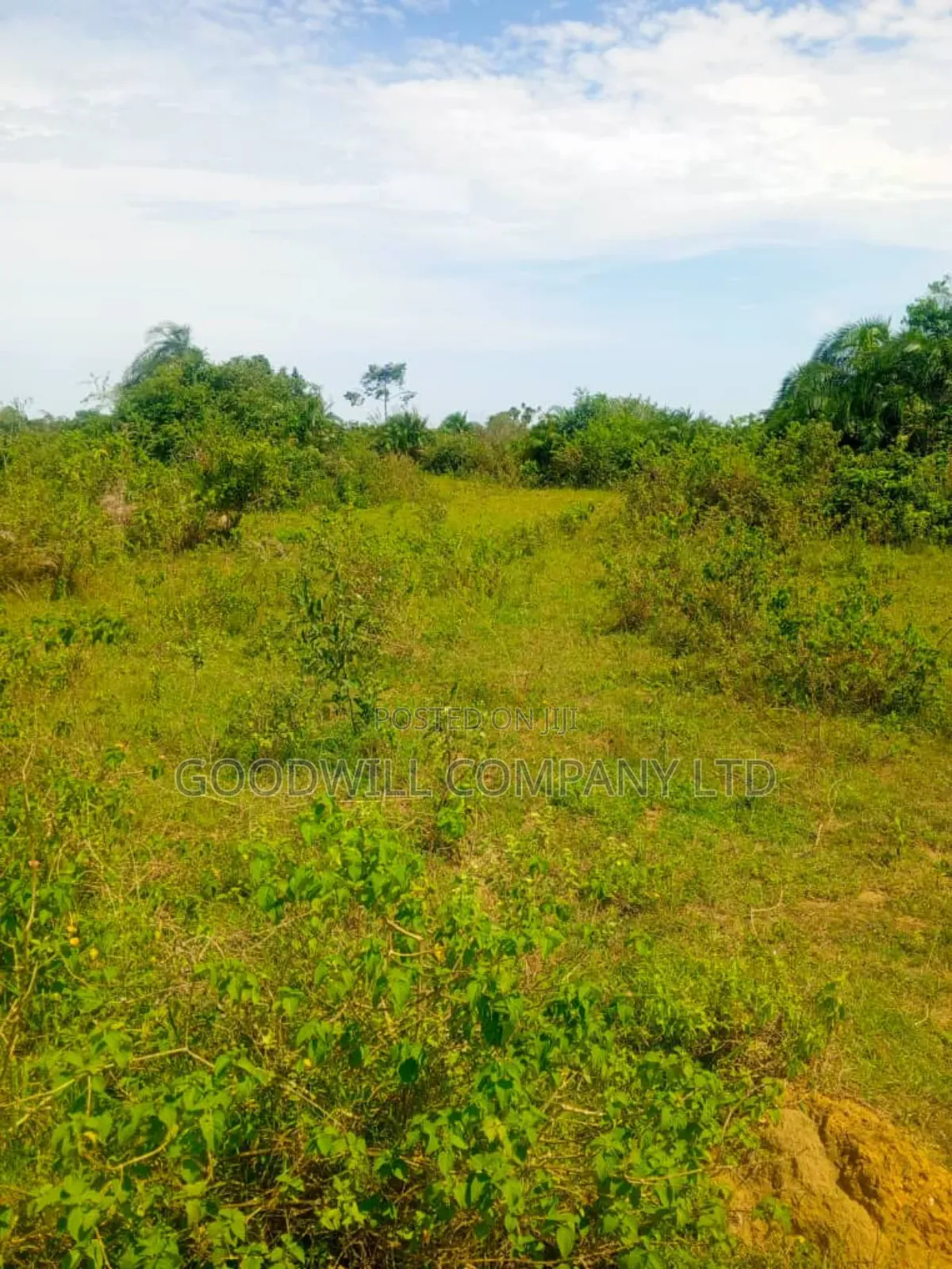24 Acres of Land in Sunga Masaka on Bukakata Road