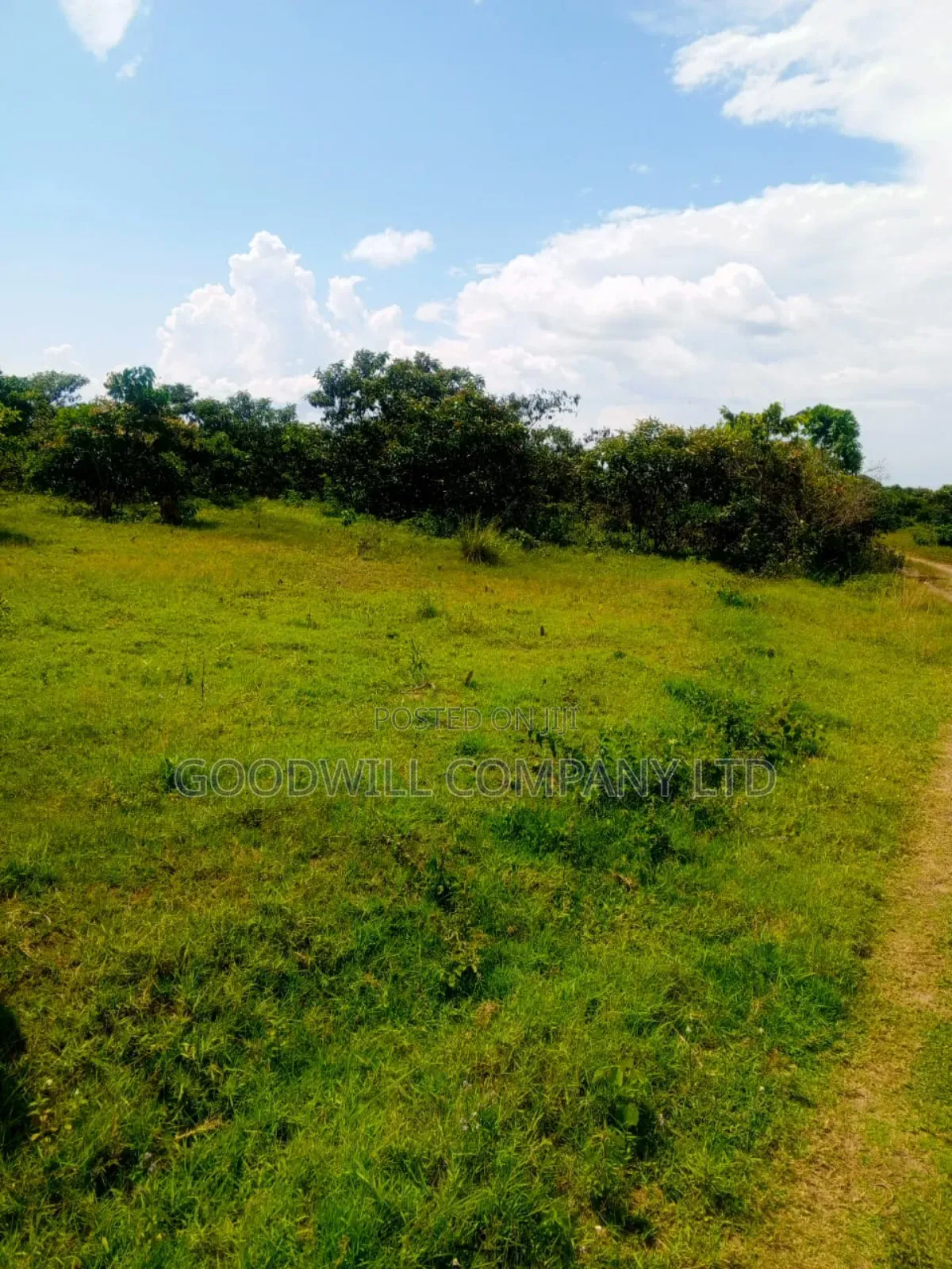 50 Acres of Land in Masaka on Bukakata Road