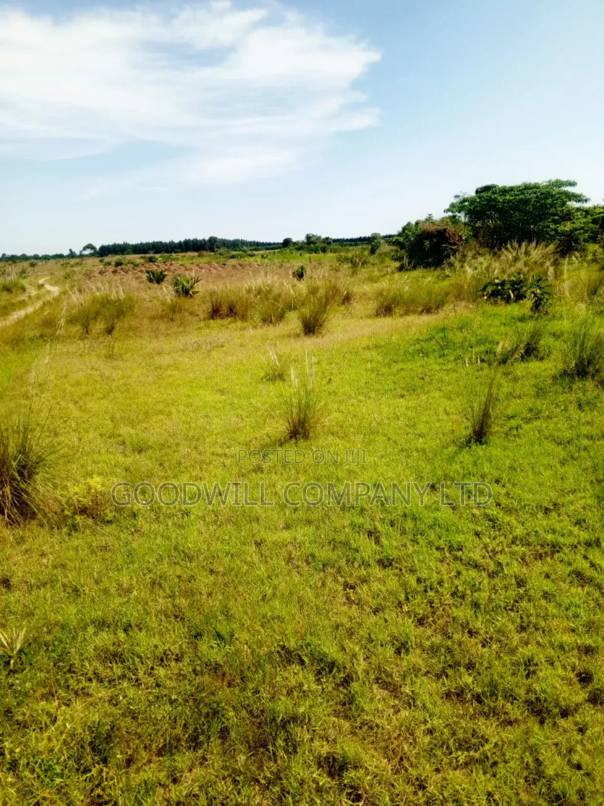 50 Acres of Land in Masaka on Bukakata Road