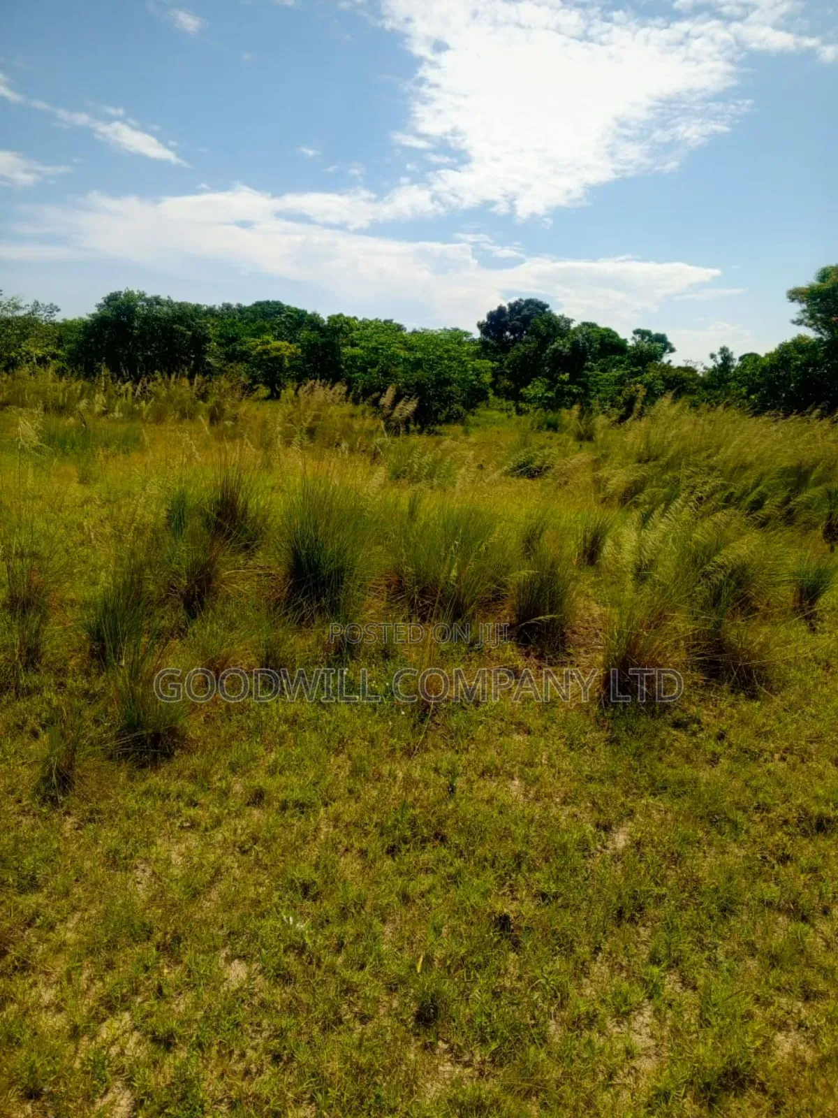 50 Acres of Land in Masaka on Bukakata Road