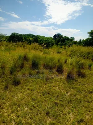 50 Acres of Land in Masaka on Bukakata Road