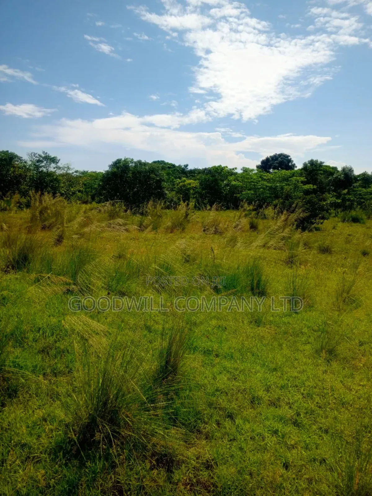 50 Acres of Land in Masaka on Bukakata Road