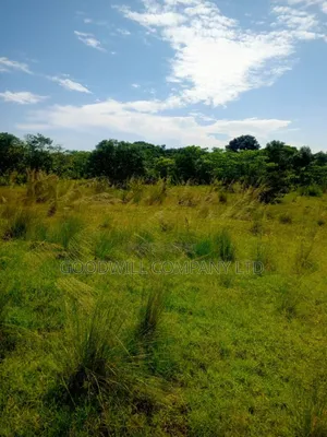 50 Acres of Land in Masaka on Bukakata Road