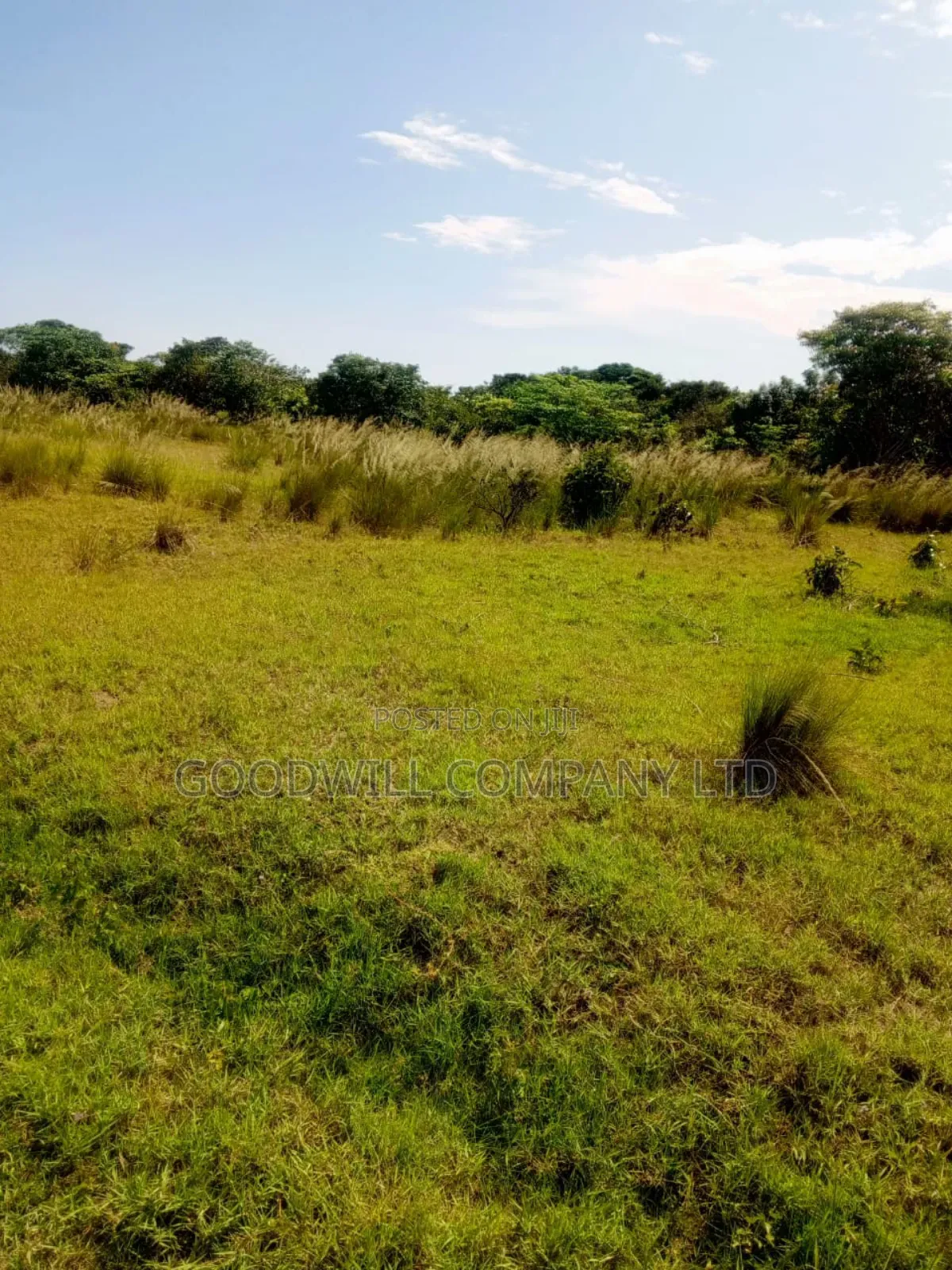 50 Acres of Land in Masaka on Bukakata Road