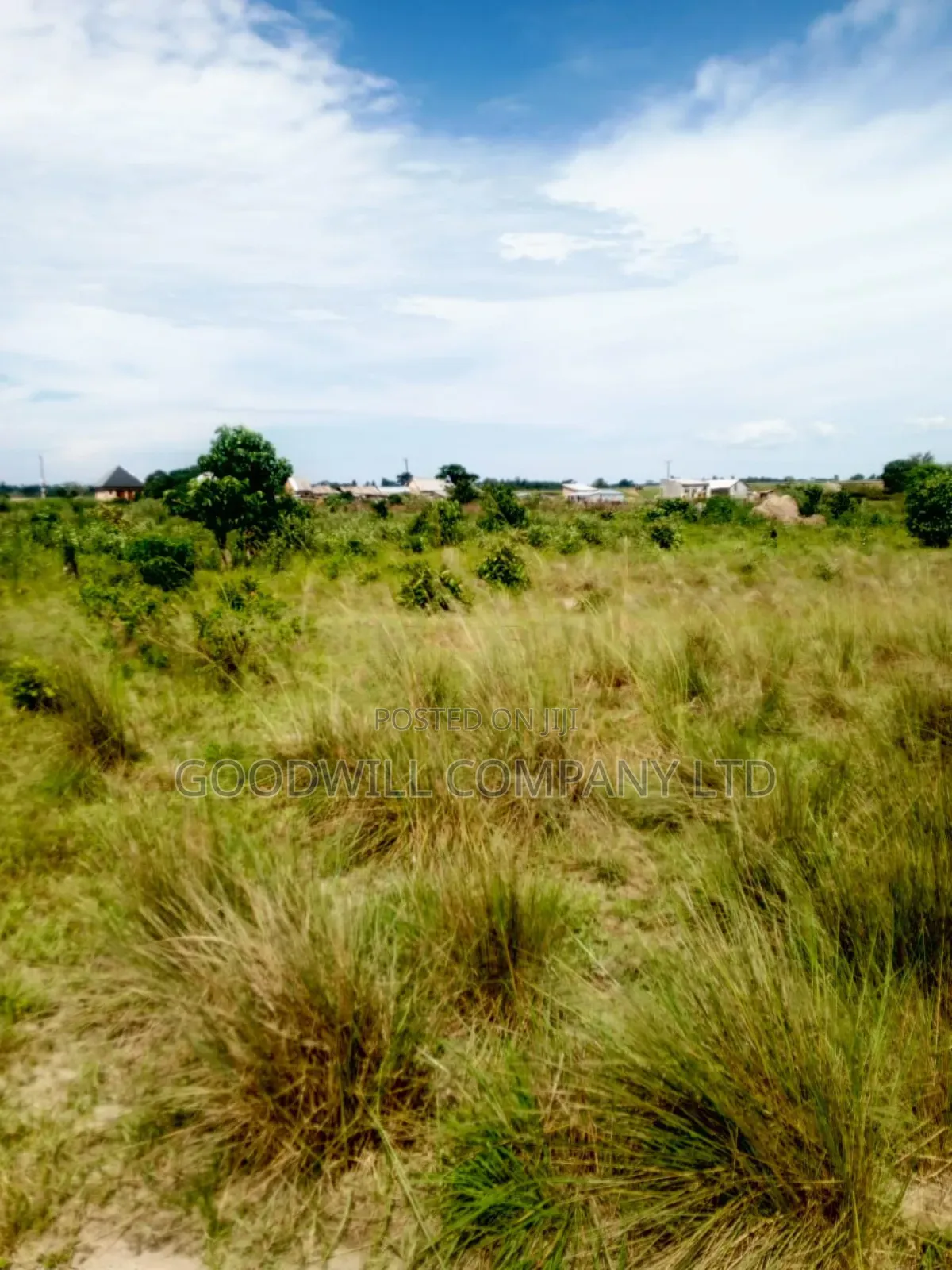 50 Acres of Land in Masaka on Bukakata Road
