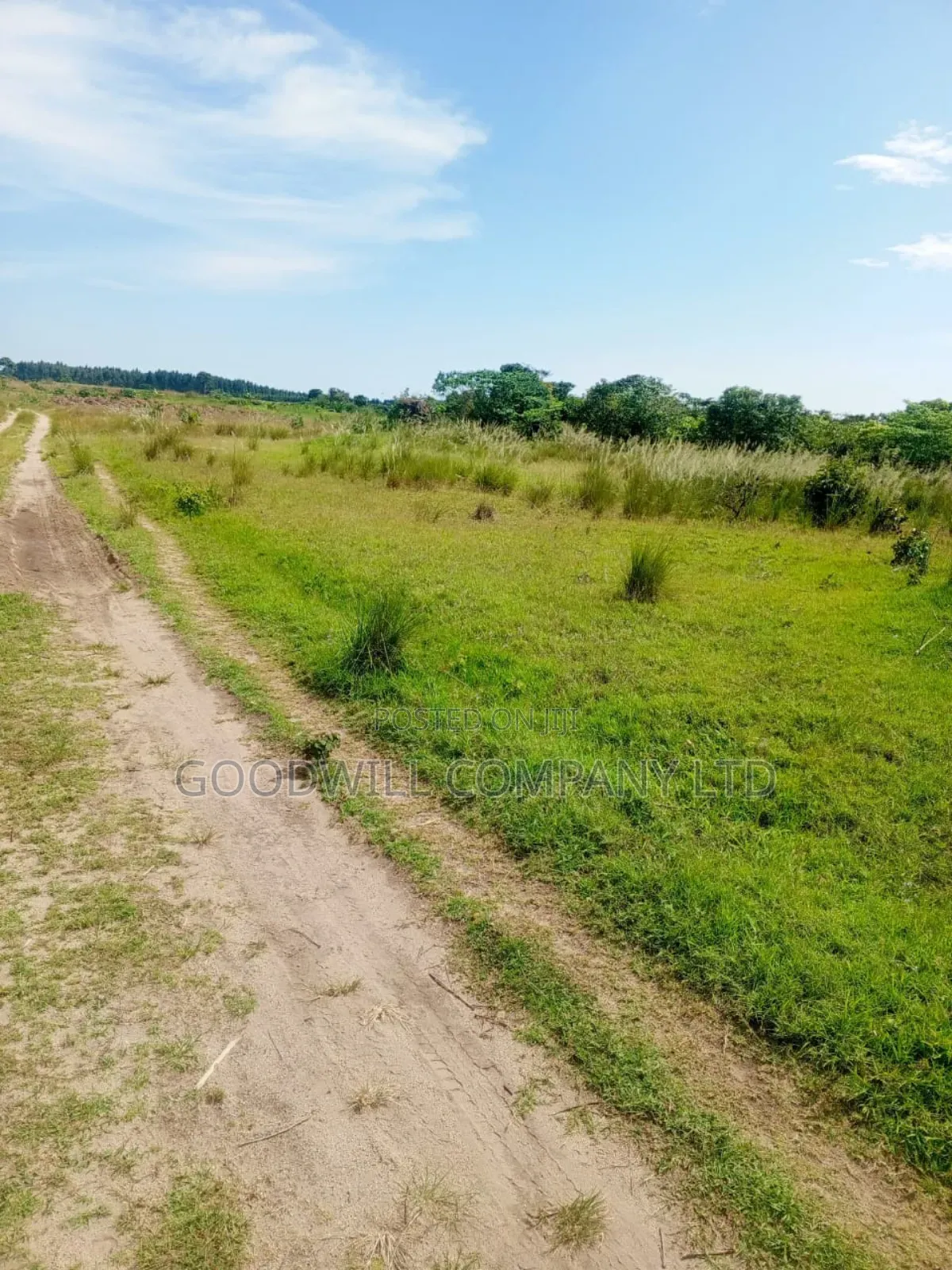 50 Acres of Land in Masaka on Bukakata Road