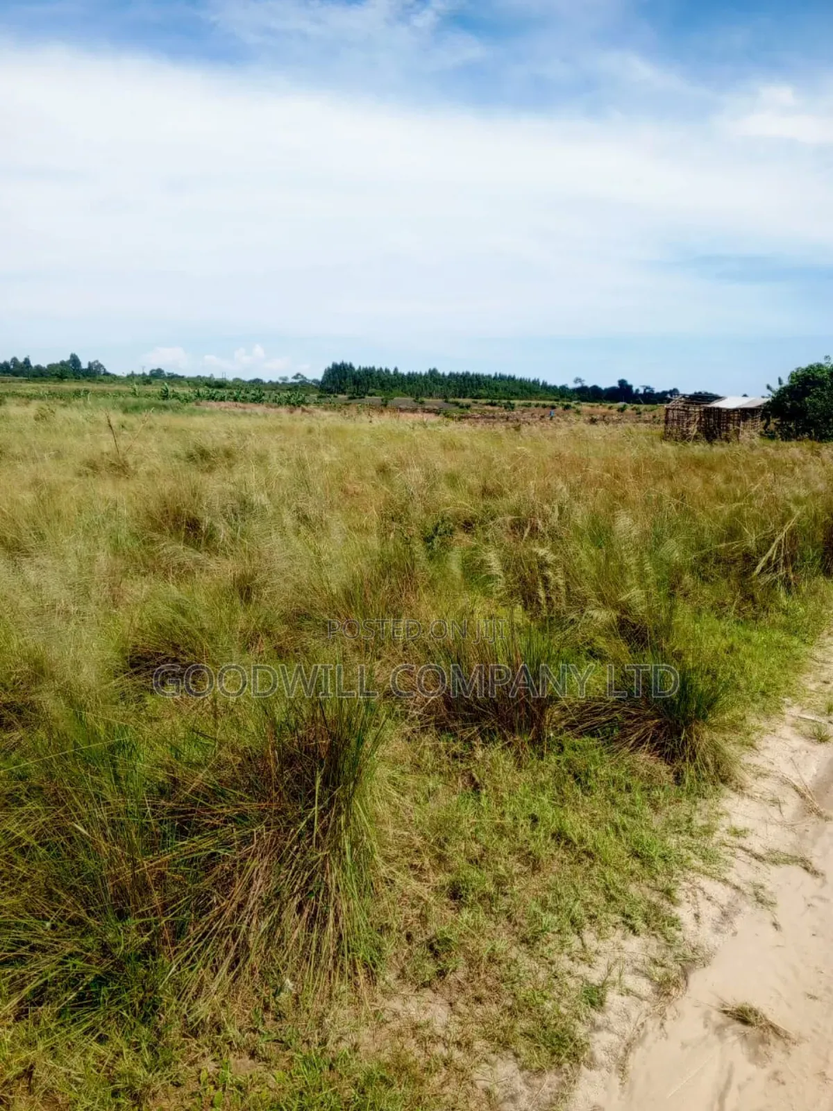 50 Acres of Land in Masaka on Bukakata Road