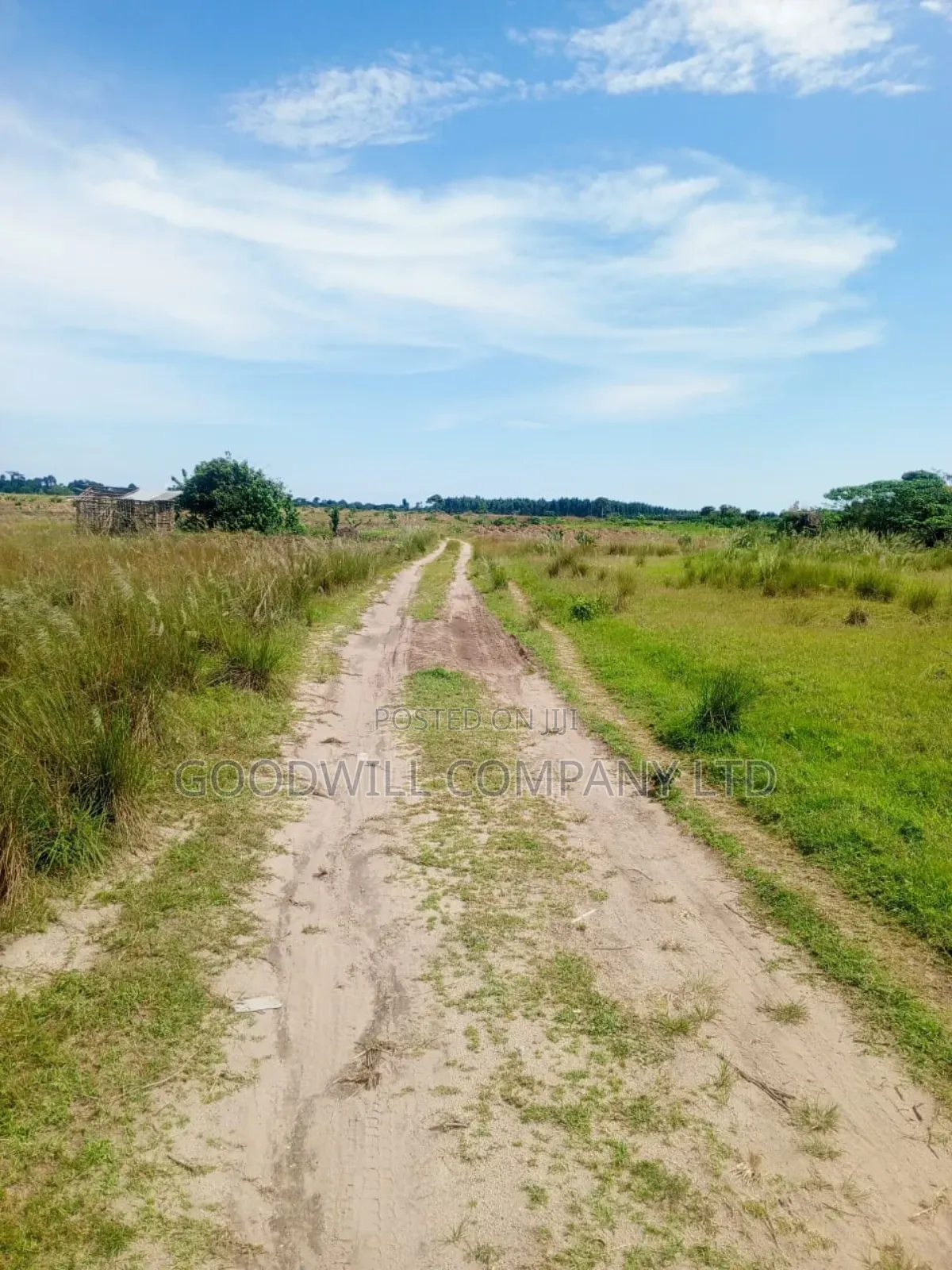 50 Acres of Land in Masaka on Bukakata Road