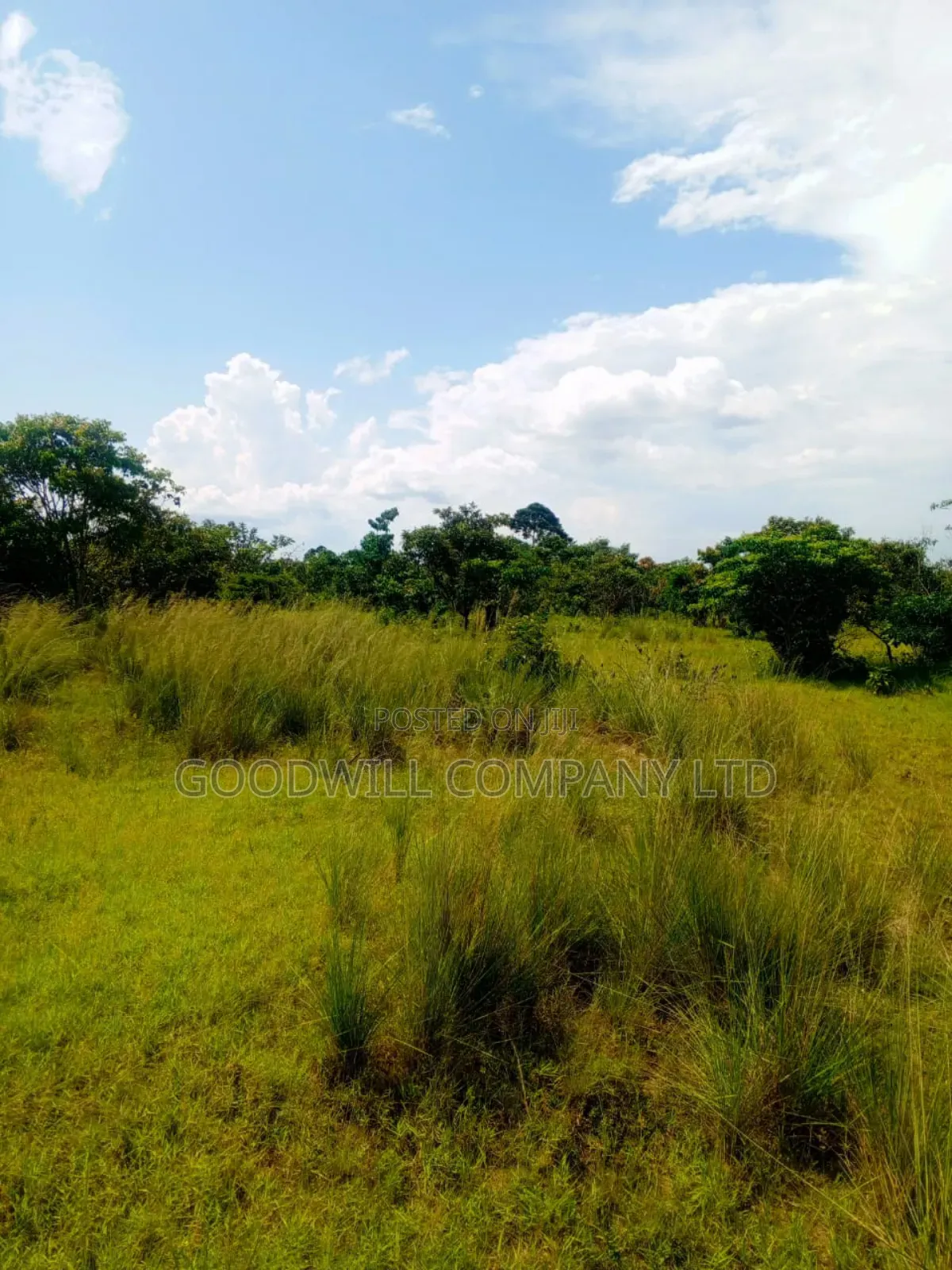 50 Acres of Land in Masaka on Bukakata Road