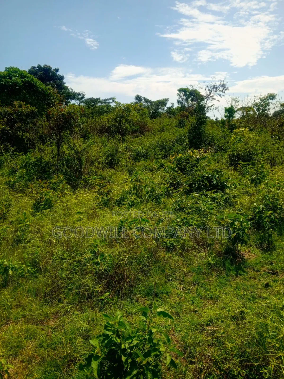 50 Acres of Land in Masaka on Bukakata Road