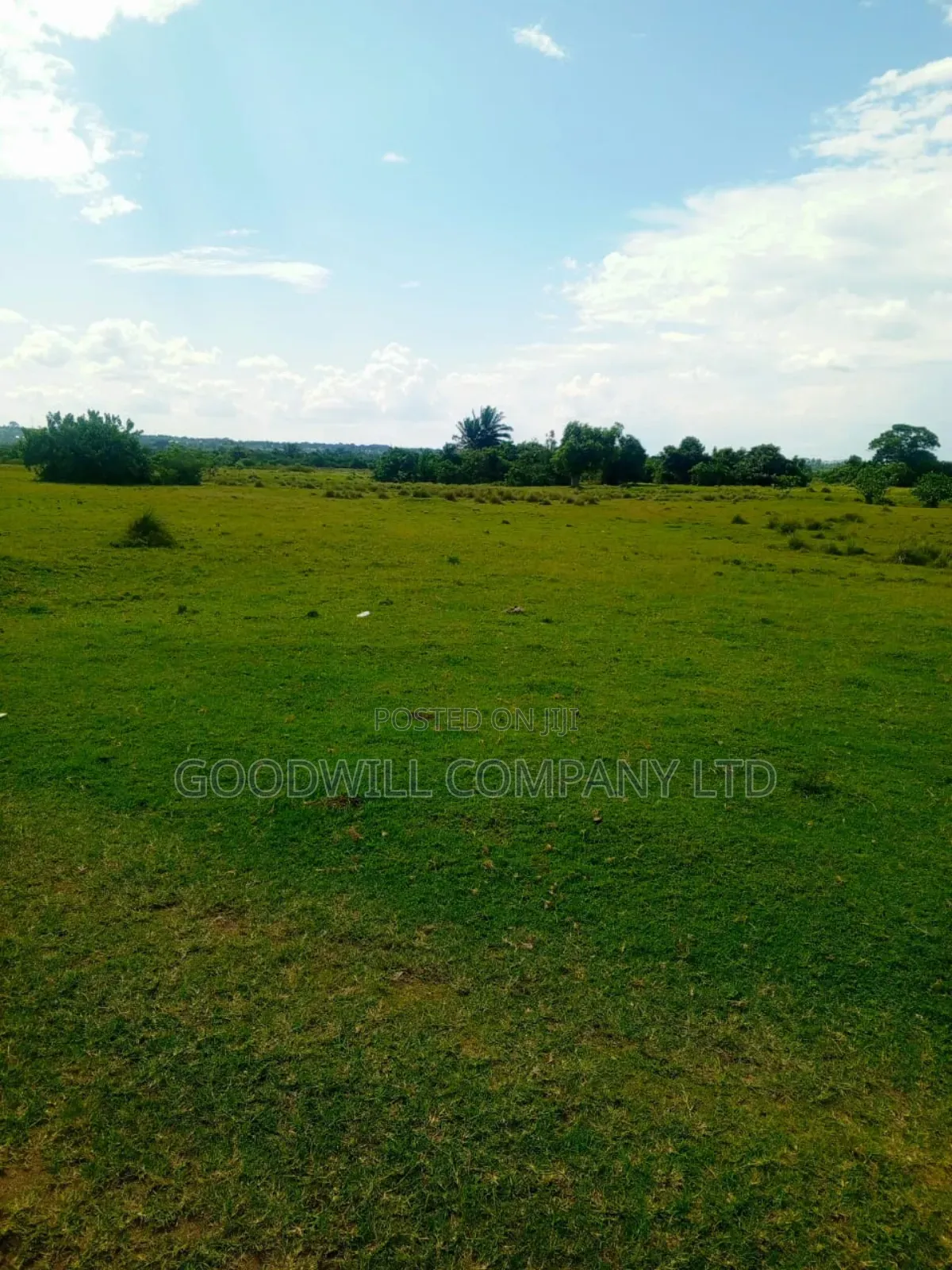 80 Acres of Land in Masaka on Bukakata Road Freehold Title