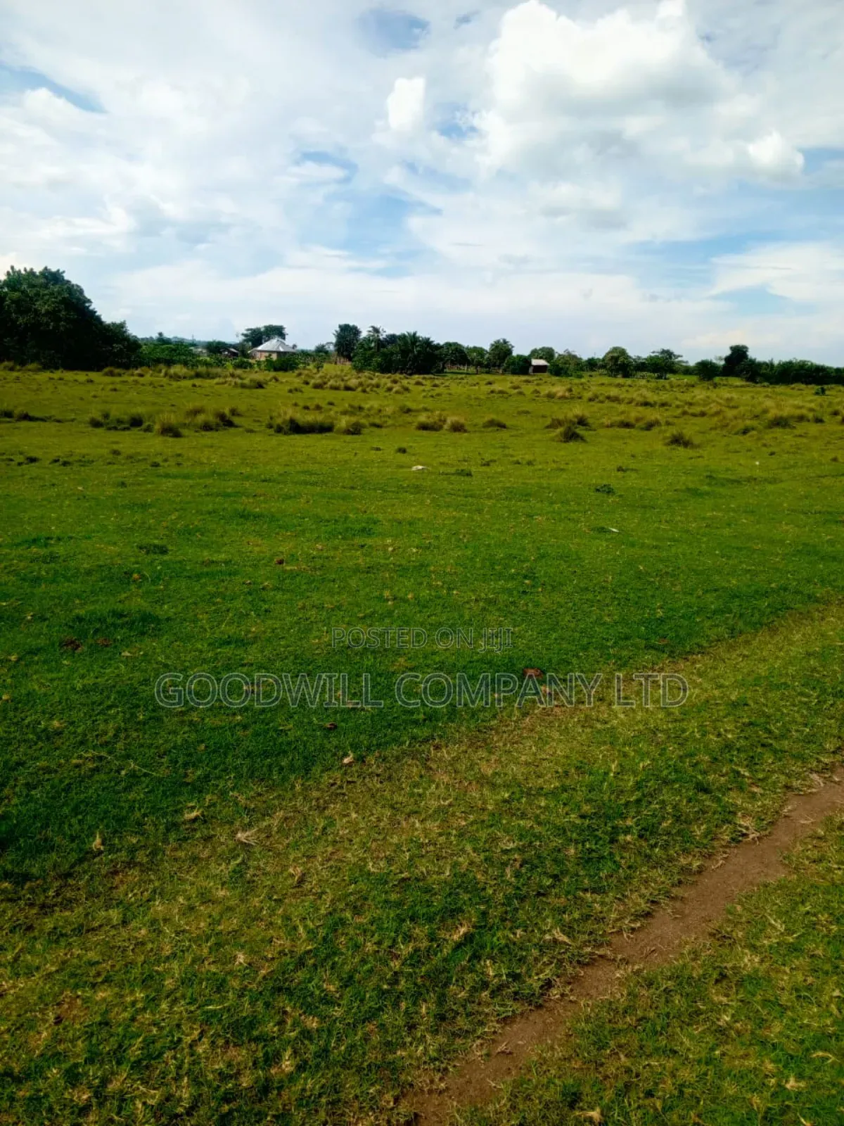 80 Acres of Land in Masaka on Bukakata Road Freehold Title