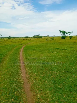 80 Acres of Land in Masaka on Bukakata Road Freehold Title