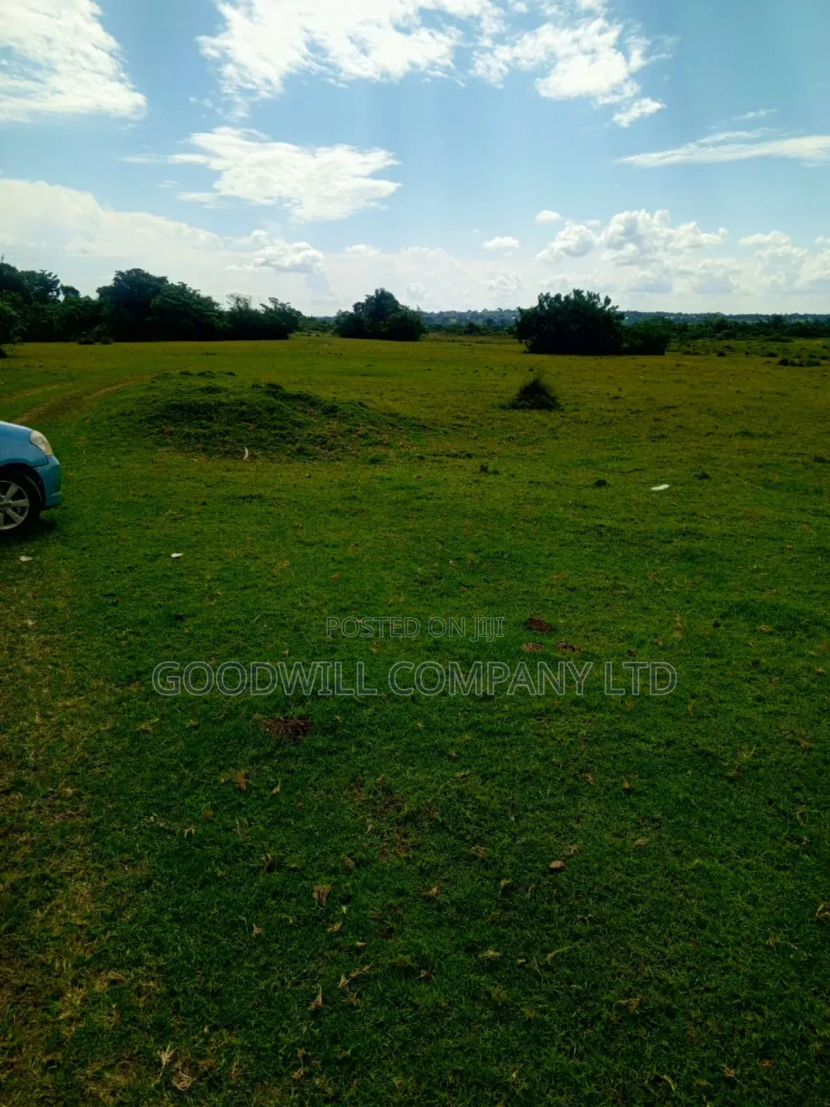 80 Acres of Land in Masaka on Bukakata Road Freehold Title