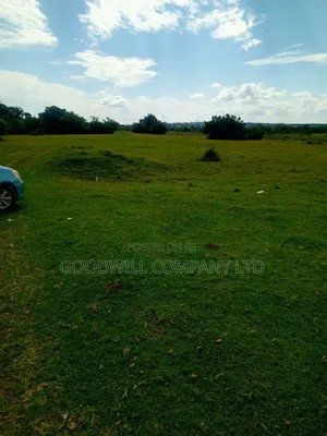 80 Acres of Land in Masaka on Bukakata Road Freehold Title