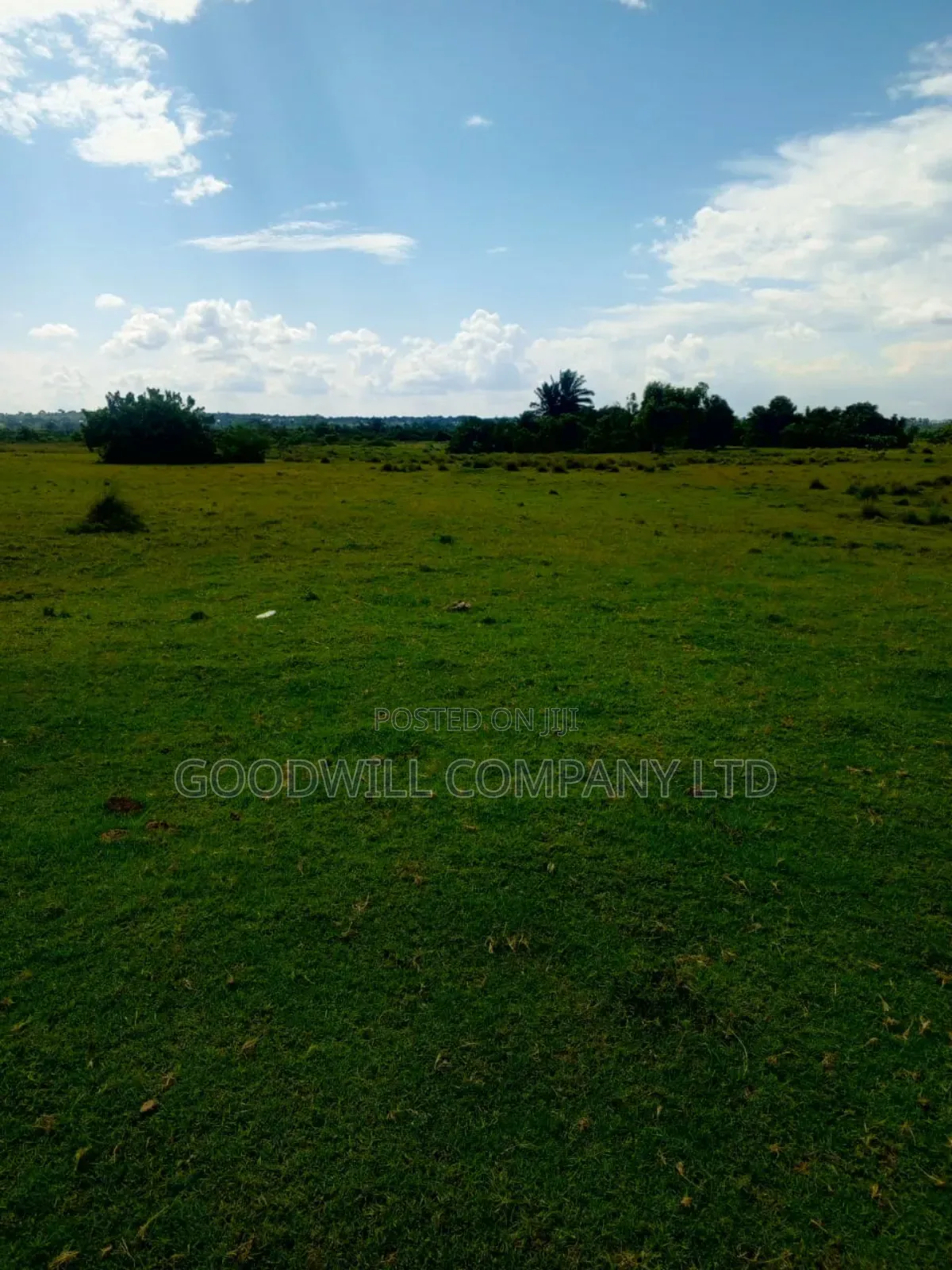 80 Acres of Land in Masaka on Bukakata Road Freehold Title